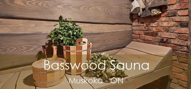  Basswood Sauna Muskoka - ON